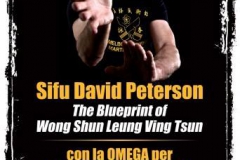 sifu-david-peterson-wslvt-seminar-in-rome-nov-2013-01