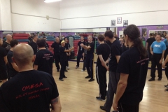 sifu-david-peterson-wslvt-seminar-in-rome-nov-2013-09