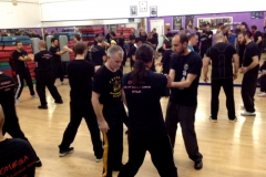 sifu-david-peterson-wslvt-seminar-in-rome-nov-2013-12