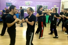 sifu-david-peterson-wslvt-seminar-in-rome-nov-2013-14