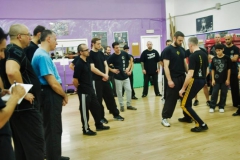 sifu-david-peterson-wslvt-seminar-in-rome-nov-2013-17