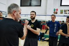 sifu-david-peterson-wslvt-seminar-in-rome-nov-2013-26