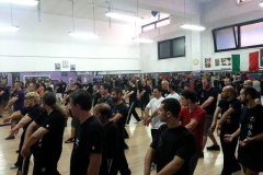 sifu-david-peterson-wslvt-seminar-in-rome-oct-2014-03