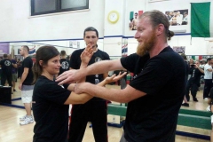 sifu-david-peterson-wslvt-seminar-in-rome-oct-2014-04