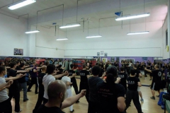 sifu-david-peterson-wslvt-seminar-in-rome-oct-2014-06