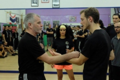 sifu-david-peterson-wslvt-seminar-in-rome-oct-2014-07