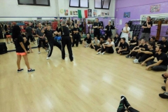 sifu-david-peterson-wslvt-seminar-in-rome-oct-2014-08