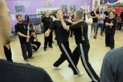 sifu-david-peterson-wslvt-seminar-in-rome-oct-2014-11