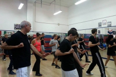 sifu-david-peterson-wslvt-seminar-in-rome-oct-2014-15