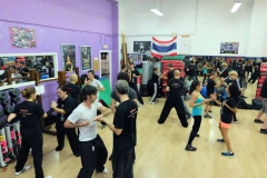 sifu-david-peterson-wslvt-seminar-in-rome-oct-2014-17