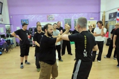 sifu-david-peterson-wslvt-seminar-in-rome-oct-2014-18