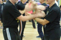 sifu-david-peterson-wslvt-seminar-in-rome-oct-2014-19