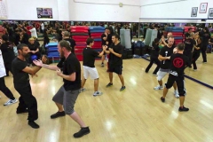 sifu-david-peterson-wslvt-seminar-in-rome-oct-2014-23