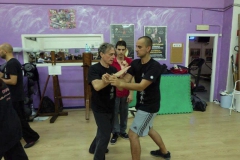 sifu-david-peterson-wslvt-seminar-in-rome-oct-2014-25