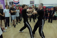 sifu-david-peterson-wslvt-seminar-in-rome-oct-2014-27