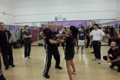 sifu-david-peterson-wslvt-seminar-in-rome-oct-2014-29