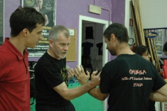 sifu-david-peterson-wslvt-seminar-in-rome-nov-2013-20