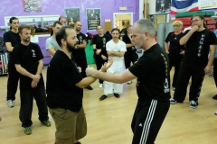 sifu-david-peterson-wslvt-seminar-in-rome-oct-2014-14