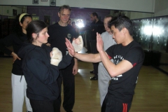 gabri-yeo-1sifu-ged-kennerk-seminar-in-rome-feb-2013-14